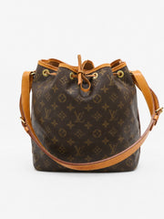 Petit Noé