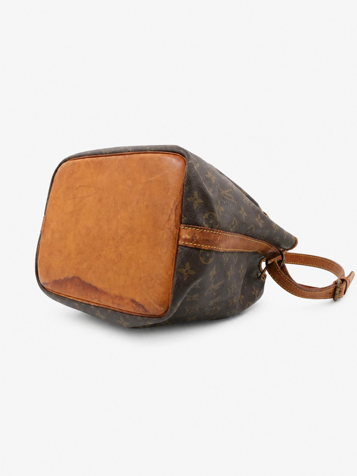 Petit Noé