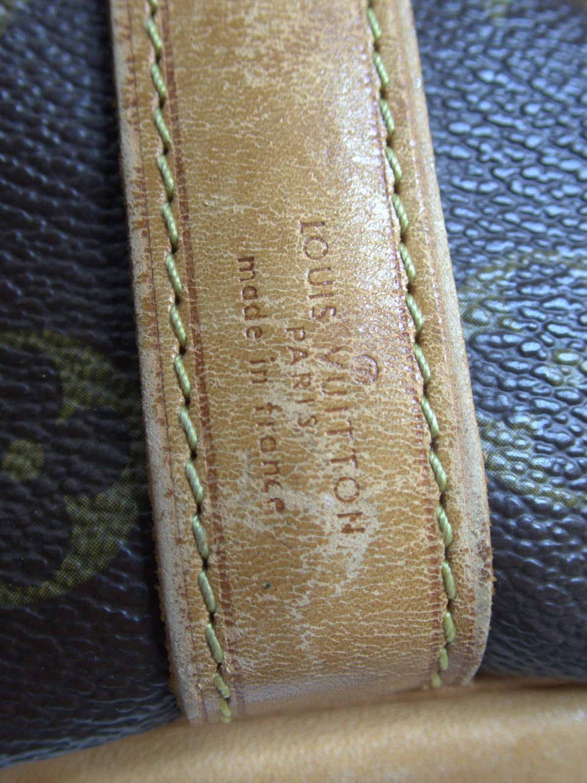 Petit Noé