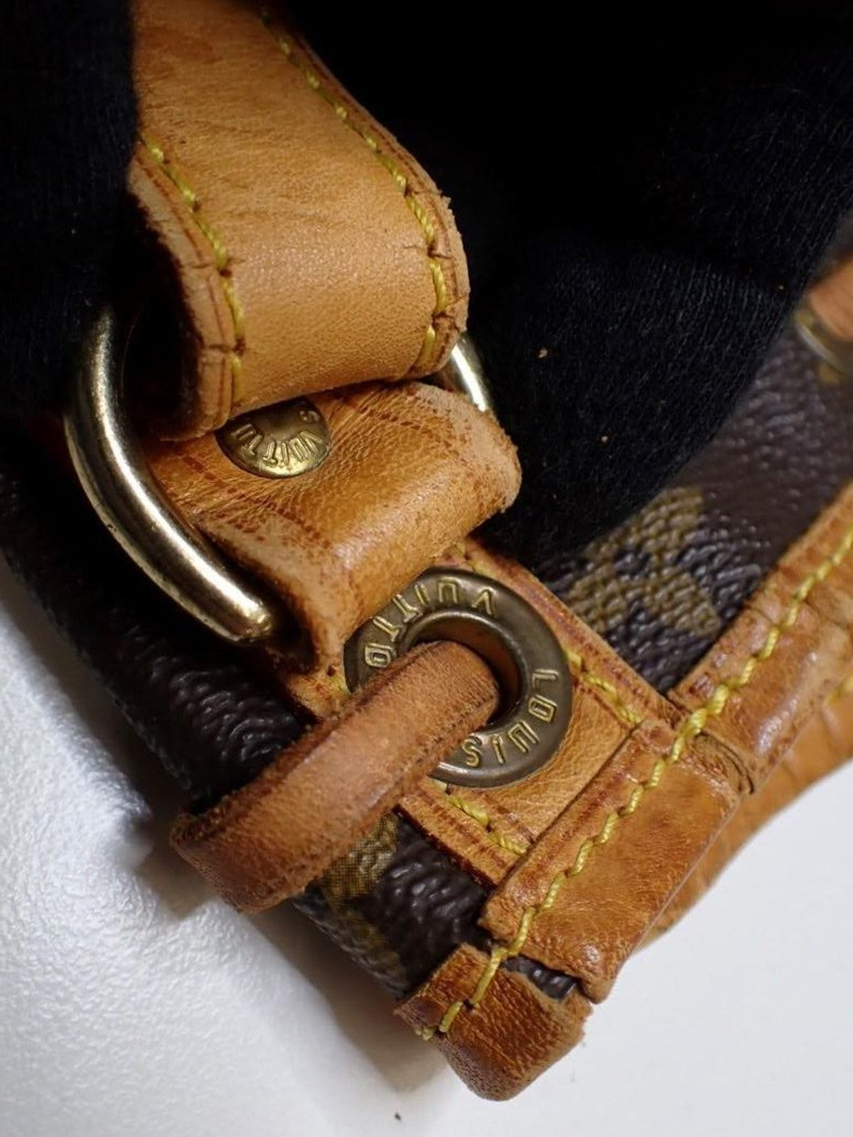 Petit Noé