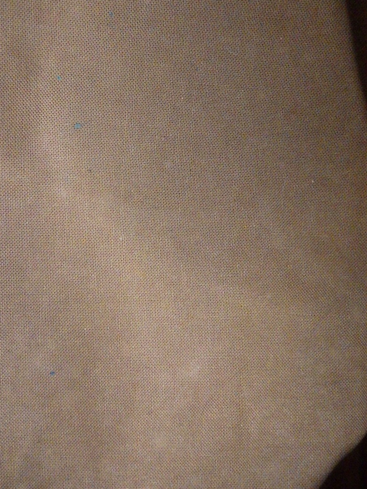 Petit Noé