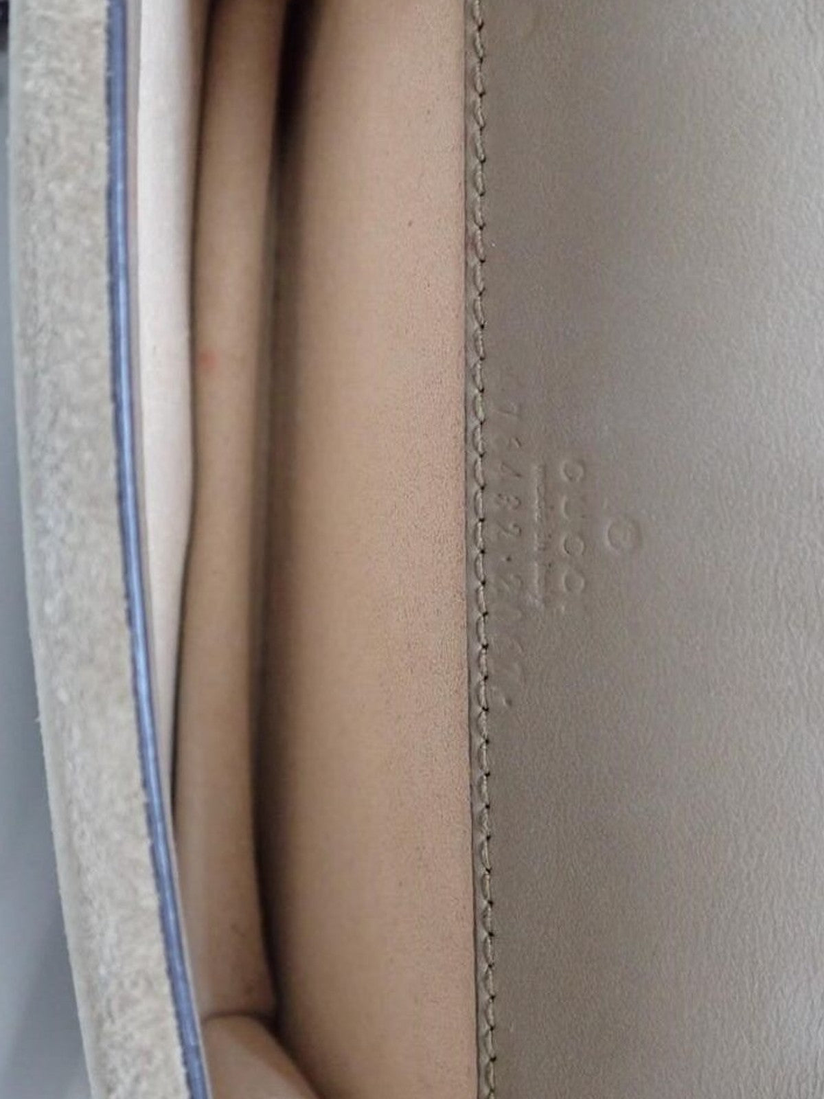 Gucci Dionysus Mini GG