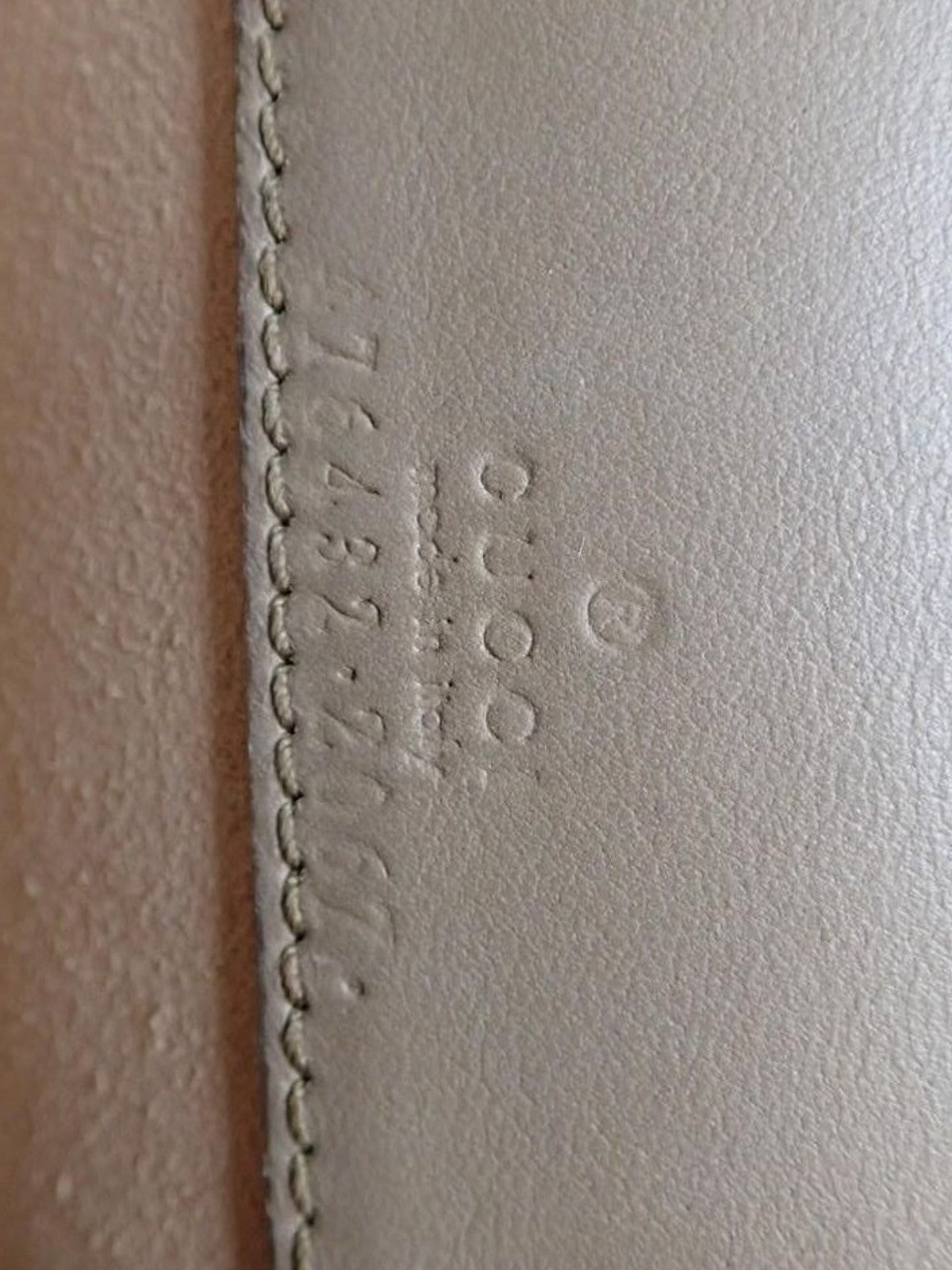 Gucci Dionysus Mini GG