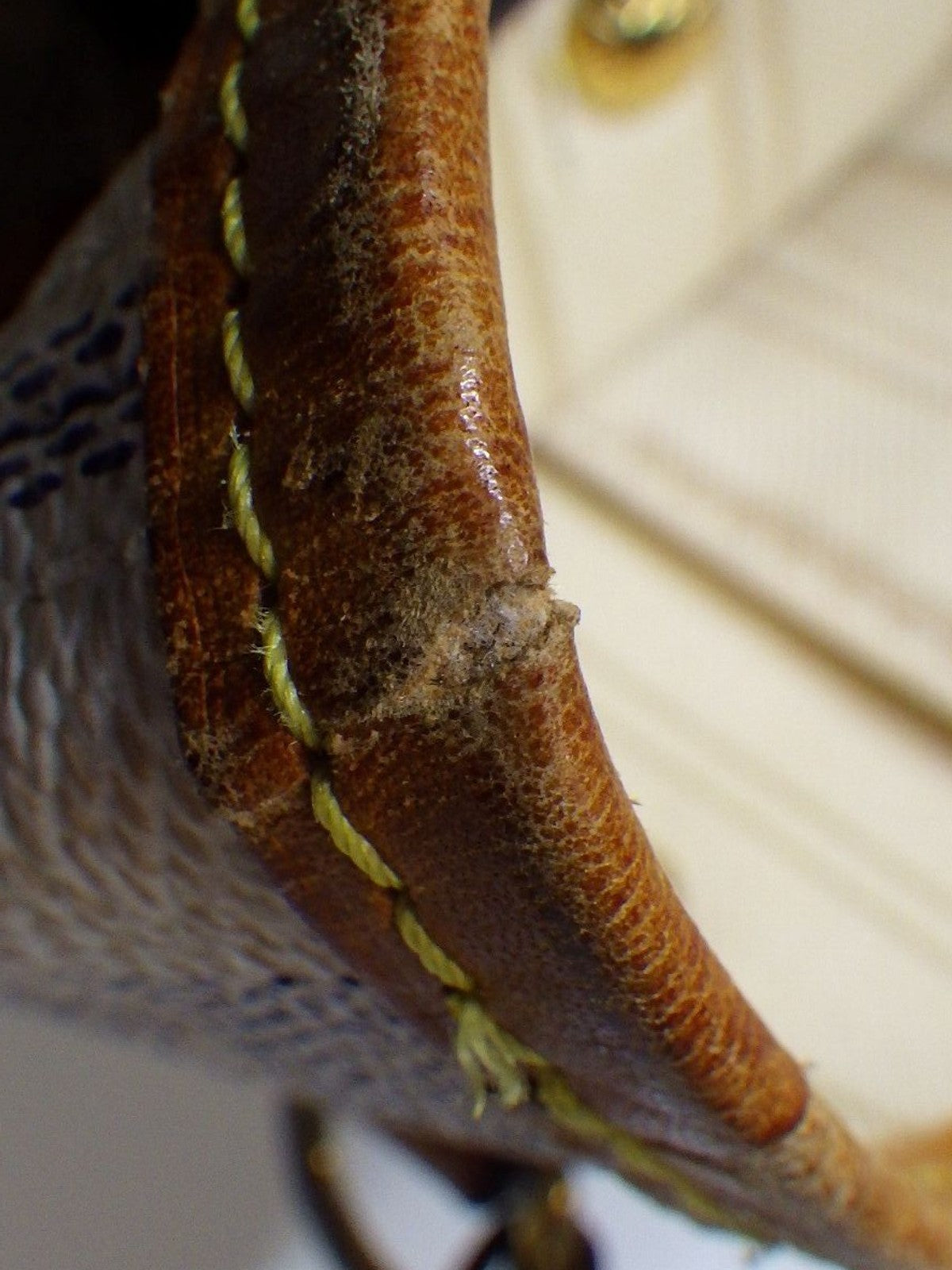 Louis Vuitton Neverfull PM