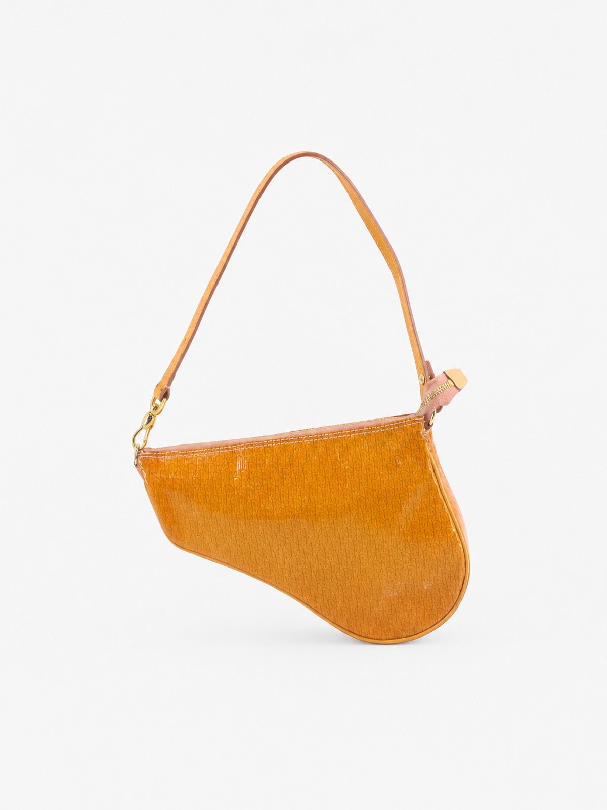 Christian Dior Saddle Pochette