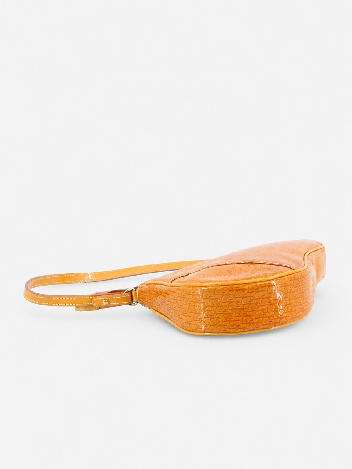 Christian Dior Saddle Pochette