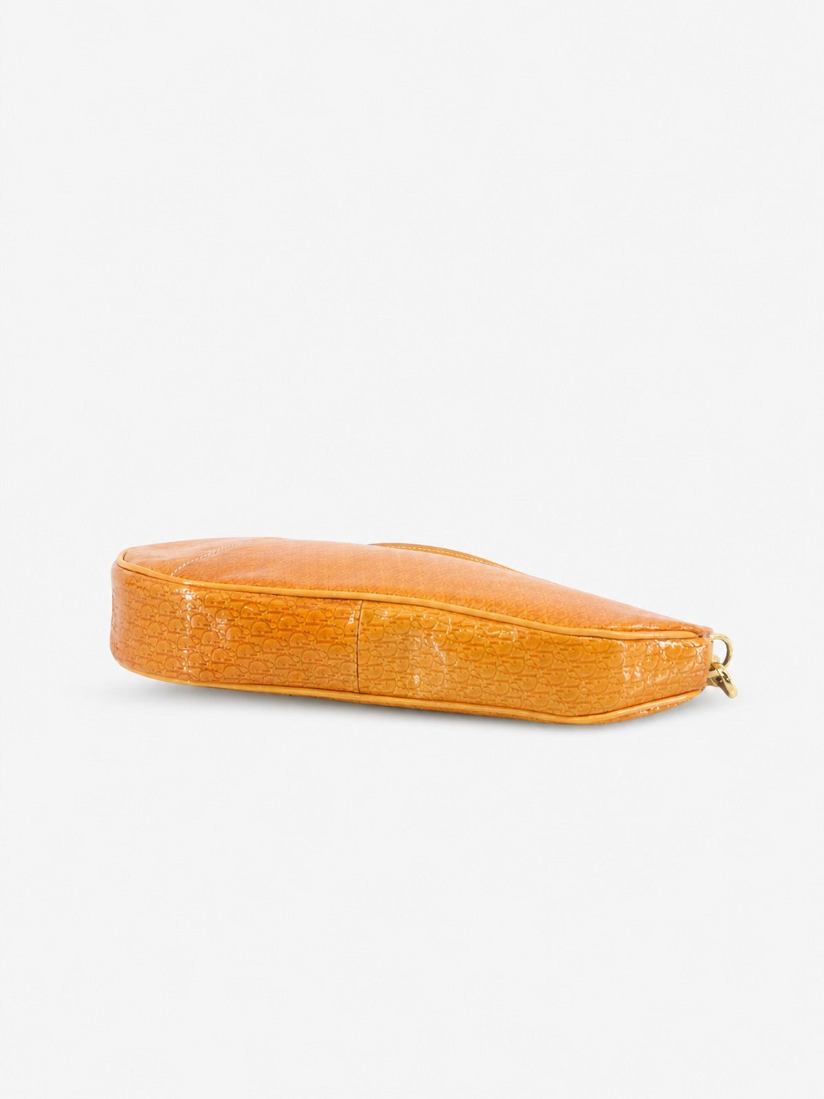 Christian Dior Saddle Pochette