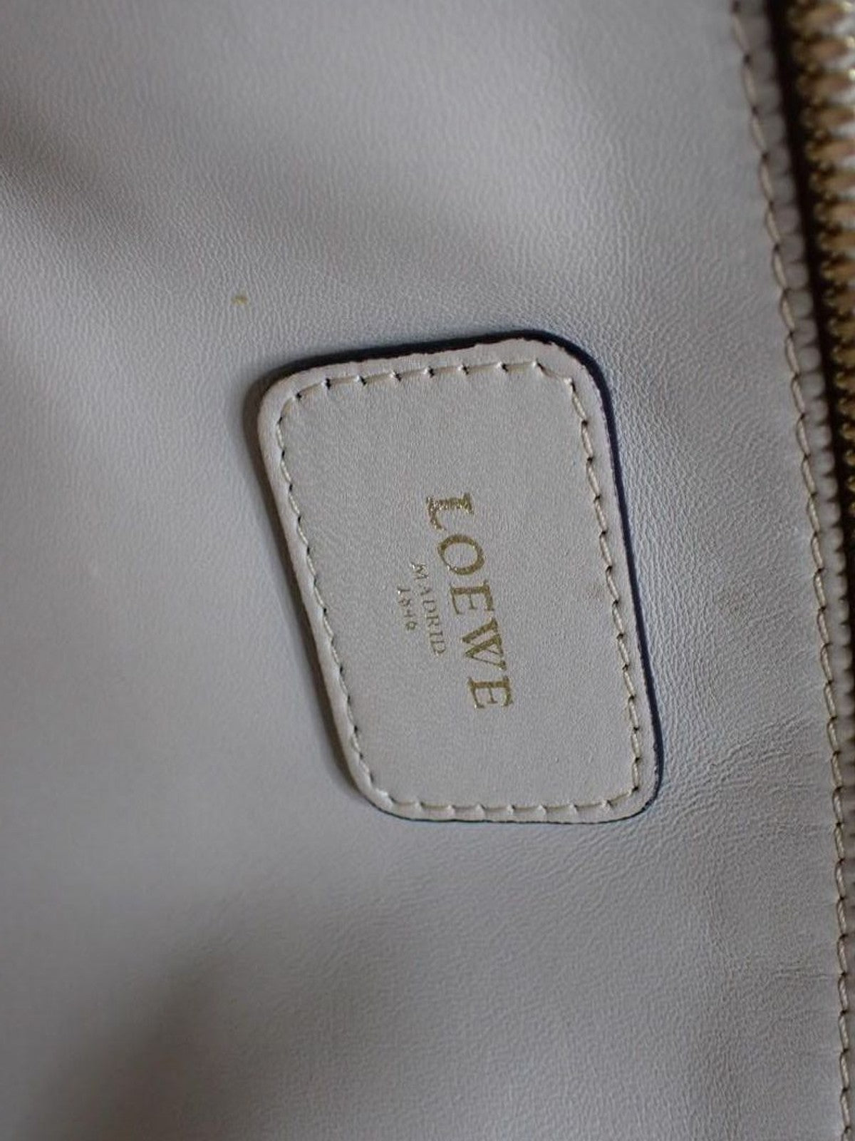 Loewe Amazona 36